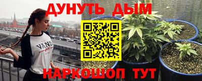 шишки Татарск
