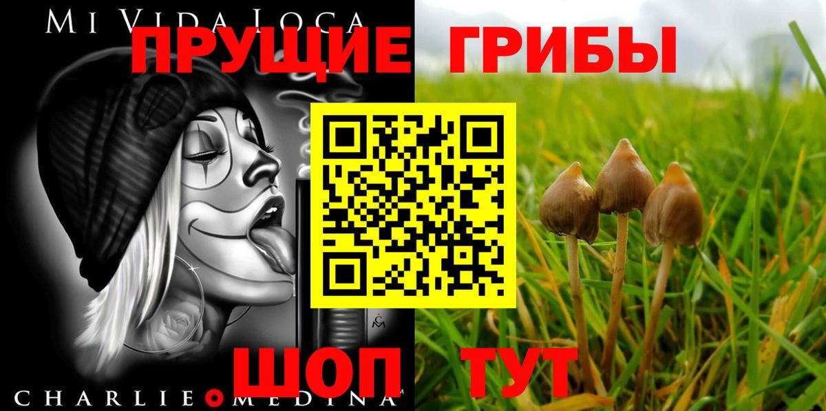 Псилоцибиновые грибы ЛСД  как найти   Фрязино  Вход с VPN 